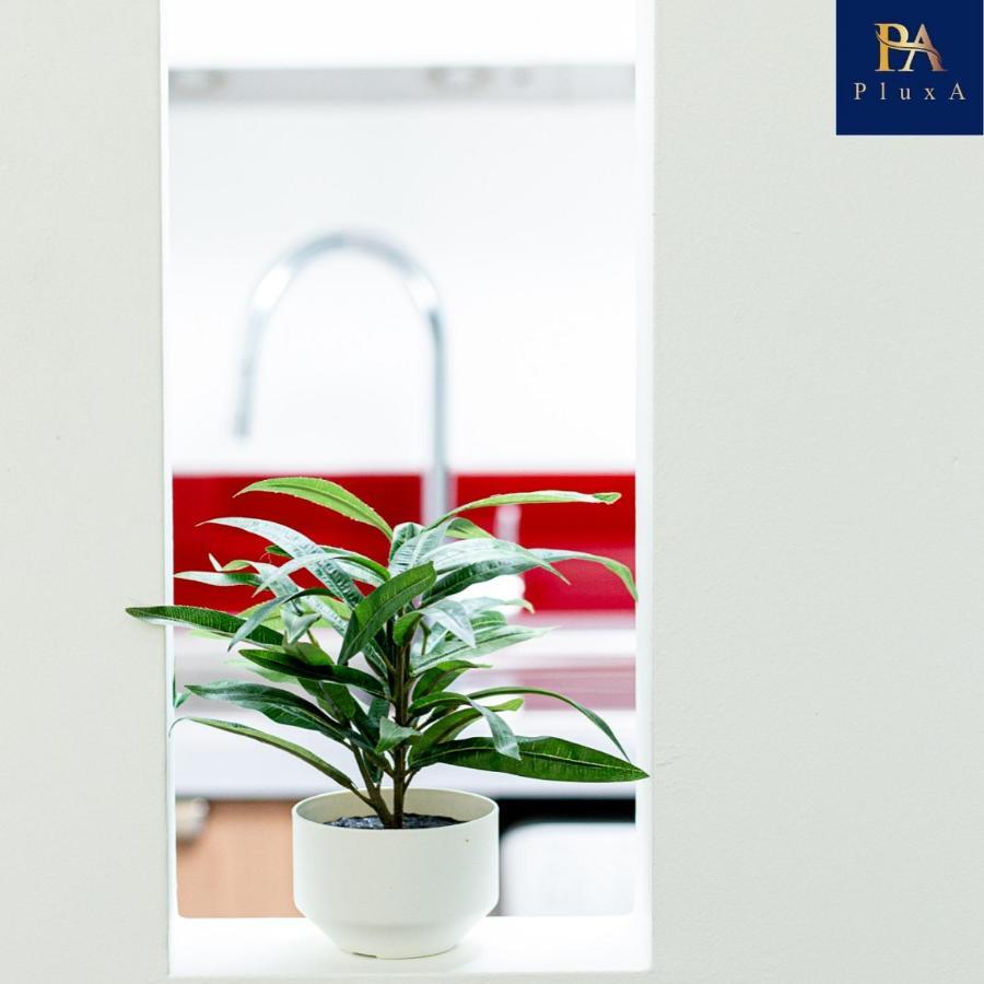 Pluxa Vivid Veranda Beautiful City Centre Apartment With Free Parking Бирмингам Екстериор снимка